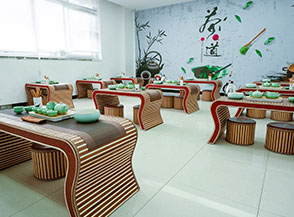 重庆新华为什么要学空乘